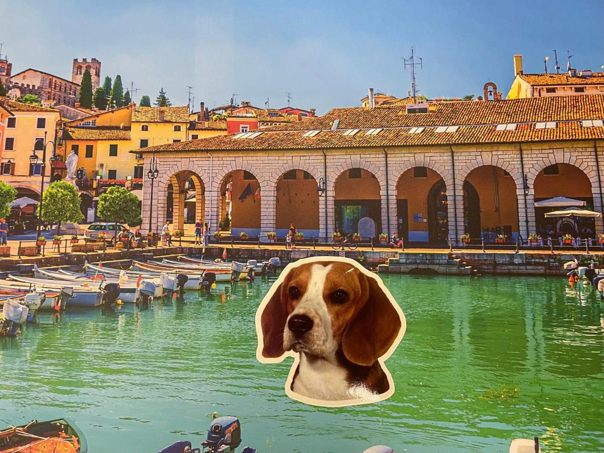 Desenzanoloft Blue Lake Star Apartment Desenzano del Garda Ngoại thất bức ảnh